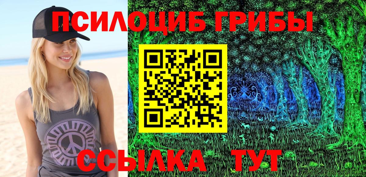 Псилоцибиновые грибы мицелий  Вход с VPN  Спасск-Дальний 